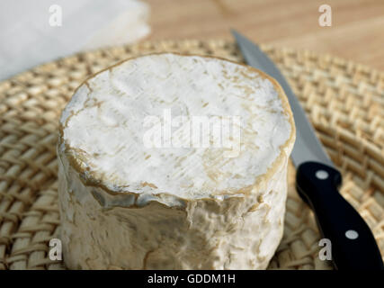 Brillat Savarin, französischer Käse, der mit Kuhmilch Stockfoto