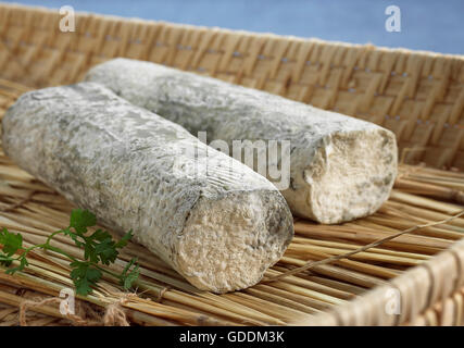 Französische Käse namens Sainte Maure de Touraine, Käse mit Ziegenmilch hergestellt Stockfoto