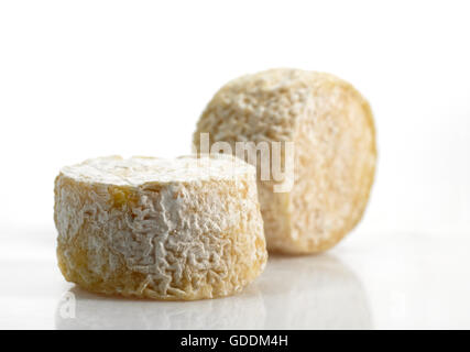 Französische Käse genannt Crottin de Chevre, ein Ziegenkäse Stockfoto