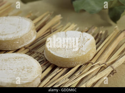 Französische Käse genannt Rocamadour, Käse mit Ziegenmilch hergestellt Stockfoto