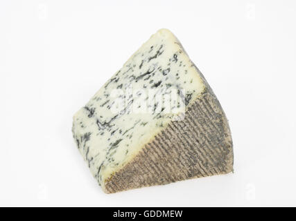 BLEU DES CAUSSES, EIN FRANZÖSISCHER KÄSE AUS KUHMILCH HERGESTELLT Stockfoto