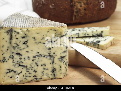 BLEU DES CAUSSES, EIN FRANZÖSISCHER KÄSE AUS KUHMILCH HERGESTELLT Stockfoto