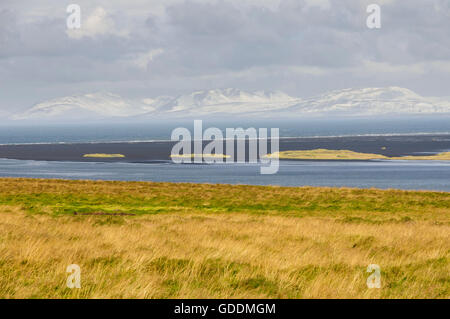 Am Fjord Hunafjördur in der großen Bucht Húnaflói im Norden Islands. Stockfoto