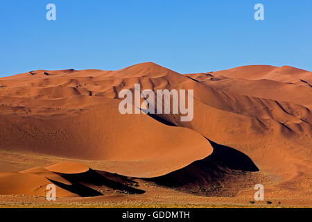 NAMIB-NAUKLUFT-PARK, NAMIB-WÜSTE, SOSSULSVLEI DÜNEN IN NAMIBIA Stockfoto