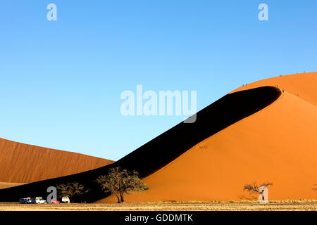 Wüste Namib, Namib-Naukluft-Park, Sossusvlei Dünen, Düne 45, Namibia Stockfoto