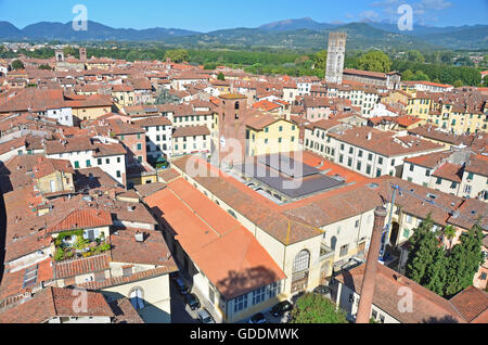 Blick über die Dächer der mittelalterlichen Stadt Lucca, Italien. Im Hintergrund der Apenninen Bergen Stockfoto