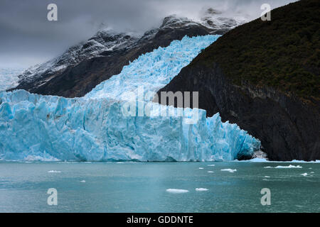 Spegazzini, Gletscher, Argentinien, Patagonien Stockfoto