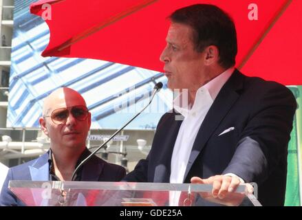 Hollywood, Kalifornien, USA. 14. Juli 2016. Pitbull mit Stern auf dem Hollywood Walk Of Fame.6201 Hollywood Boulevard/Celia Cruz Square, Hollywood, CA.07/15/2016 geehrt. Bildnachweis: Clinton Wallace/Globe Fotos/ZUMA Draht/Alamy Live-Nachrichten Stockfoto