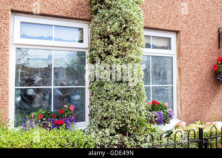 Belfast, UK, Europa. 16. Juli 2016. Zwei Fenster mit zwei Einschusslöcher nach einer Waffe Angriff auf Haus in West Belfast Credit: Bonzo/Alamy Live News Stockfoto