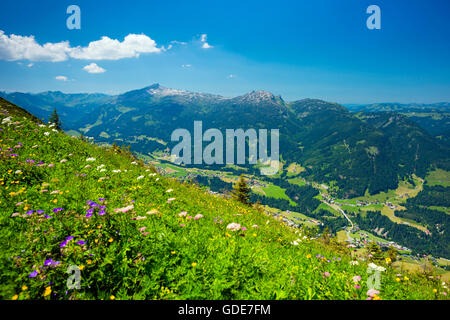 Panorama von der Fellhorn 2038 m, über Kleinwalsertal auf den hohen Ifen 2230 ms, Friedhof Plateau und der Toreck, 2016 Stockfoto