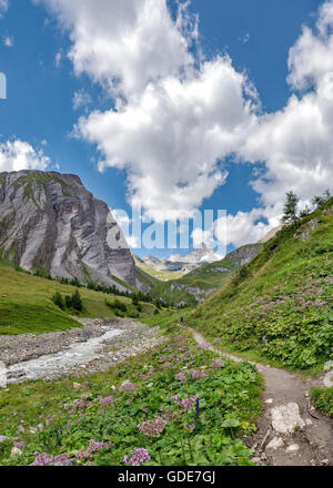 Kals bin Großglockner, Österreich, Ködnitzbach, Blick auf den Großglockner Stockfoto