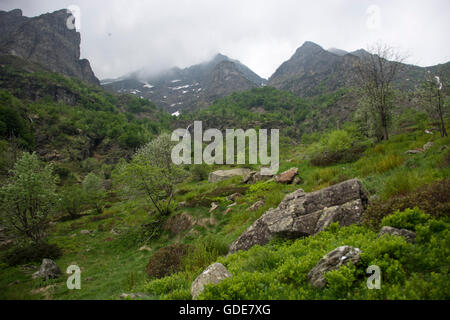 Italien, Europa, Nord-Italien, Piemont, Nationalpark, Val Grande, Alpe Serena Stockfoto