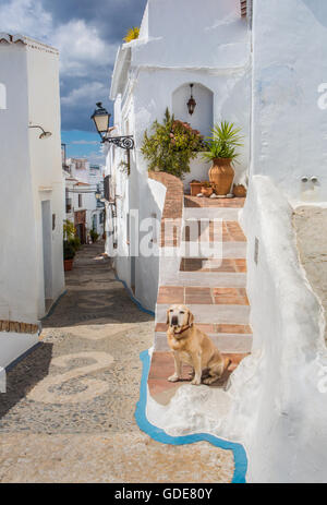 Spanien, Provinz Malaga, Frigliana, Stadt, Stockfoto