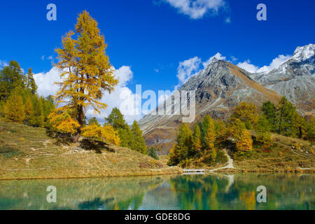 Lac Bleu, Grande Dent de Veisivi, Wallis, Schweiz Stockfoto