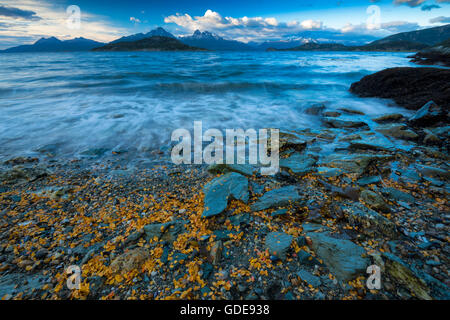 Süd-Amerika, Feuerland, Argentinien, Ushuaia, Tierra del Fuego, Nationalpark, Beagle-Kanal Stockfoto