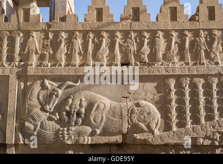 Iran, Persepolis Stadt Ruinen von Persepolis, Relief auf der Apadana-Treppe, Apadana Palast Stockfoto