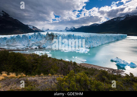 Perito Moreno Gletscher, Argentinien, Patagonien Stockfoto