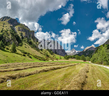 Kals bin Großglockner, Österreich, Ködnitzbach-Tal, Blick auf den Großglockner Stockfoto