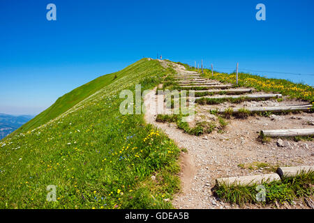 Grat und Gipfel zu überqueren, auf das Fellhorn 2038 m, Allgäuer Alpen, Bayern, Deutschland, Europa Stockfoto