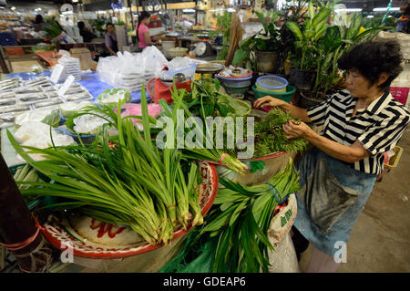 Fegetable am Tag Markt in der Stadt Phuket auf der Insel Phuket im Süden von Thailand in Südostasien. Stockfoto