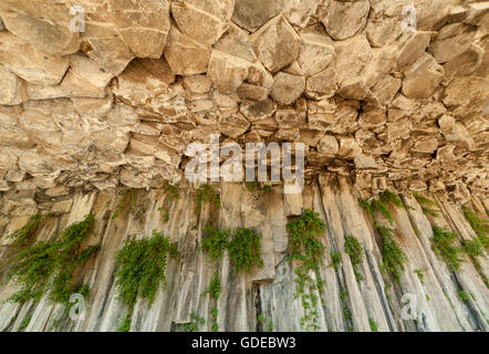 Sechseckige Basalt Säulen in Garni Schlucht, Armenien Stockfoto