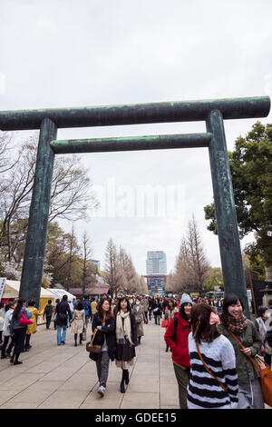 Kirschblüte, Yasukuni-Schrein, Chiyoda-Ku, Tokyo, Japan Stockfoto