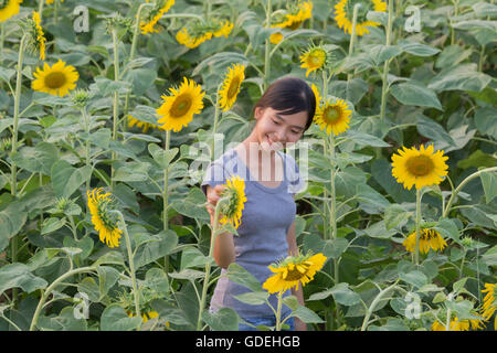 Lächelndes Teenage Mädchen Blick auf Sonnenblumen im Feld, Thailand Stockfoto