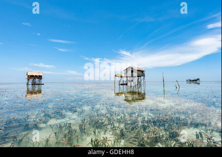 Holzhütten auf Stelzen im Meer, Semporna, Sabah, Malaysia Stockfoto