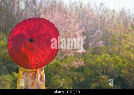 Rückansicht der Frau im Kimono mit einem Sonnenschirm Stockfoto