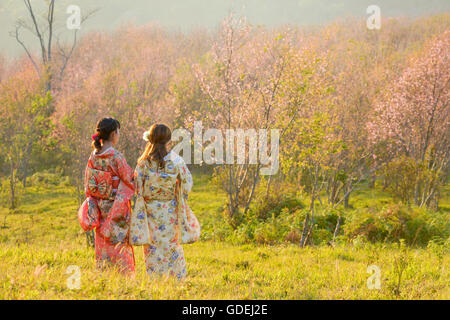 Zwei Frauen stehen in Kirschblüte Obstgarten, traditionelle japanische Kleidung zu tragen Stockfoto