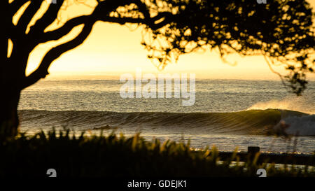 Silhouette der Surfer paddeln heraus um zu fangen, eine Welle, Malibu, California, Amerika, USA Stockfoto