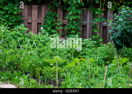 Die traditionelle Gemüsegarten, auch bekannt als ein Potager (in