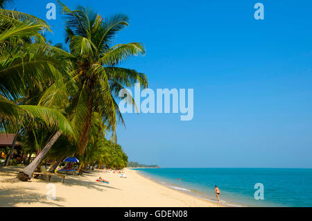 Mae Nam Beach, Ko Samui Island, Thailand Stockfoto