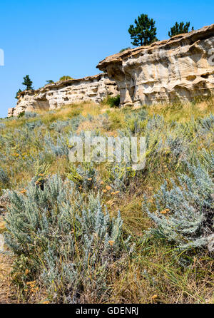 Rosebud Battlefield State Park Stockfoto