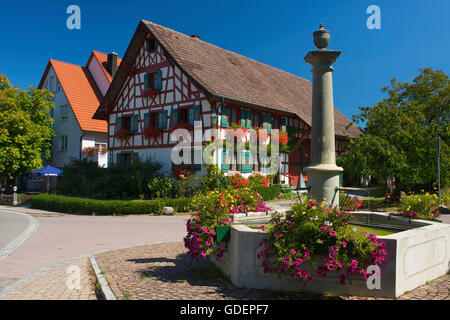 Halbe Fachwerkhaus auf der Halbinsel Hoeri, Bodensee, Baden-Württemberg, Deutschland Stockfoto