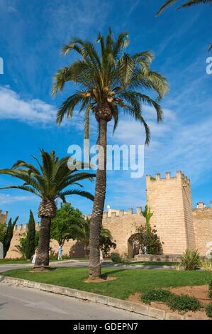 Stadtmauer von Alcudia, Mallorca, Mallorca, Balearen, Spanien Stockfoto