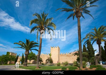 Stadtmauer von Alcudia, Mallorca, Mallorca, Balearen, Spanien Stockfoto