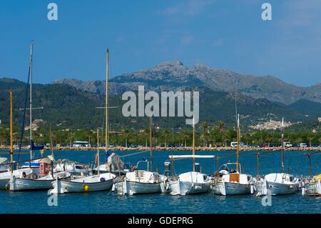 Hafen von Port d Andratx, Mallorca, Mallorca, Balearen, Spanien Stockfoto