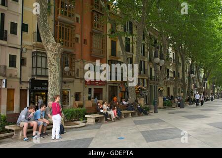 Passeig des Born, Palma De Mallorca, Mallorca, Mallorca, Balearen, Spanien Stockfoto