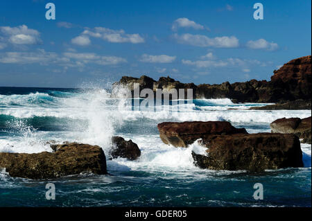 Wellen, El Golfo, Lanzarote, Kanarische Inseln, Spanien / Los Hervideros IWellen, El Golfo, Lanzarote, Kanarische Inseln, Spanien / Los Hervideros Stockfoto