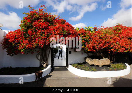 Stiftung César Manrique, Tahiche, Lanzarote, Kanarische Inseln, Spanien / Fundacion Cesar Manrique IStiftung Cesar Manrique, Tahiche, Lanzarote, Kanarische Inseln, Spanien / Fundacion Cesar Manrique Stockfoto