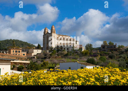 Kathedrale von Calvia, Mallorca, Balearen, Spanien Stockfoto