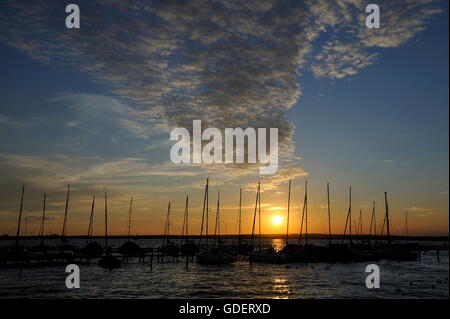 See-Dummer, Lembruch, Niedersachsen, Deutschland / See Dümmer, Dümmersee Stockfoto