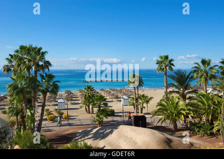 Playa del Duque, Costa Adeje, Teneriffa, Kanarische Inseln, Spanien Stockfoto