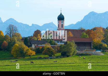 Kirche in Seeg, Allgäu, Bayern, Deutschland Stockfoto