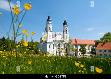 Irsee Kloster, Allgäu, Bayern, Deutschland Stockfoto