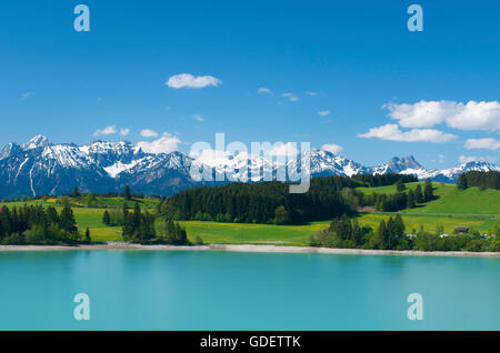 See Forggensee, Allgäu, Bayern, Deutschland Stockfoto