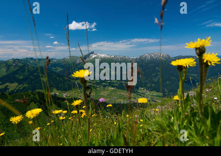 Kanzelwand, Kleinwalsertal Tal, Allgäu, Vorarlberg, Österreich Stockfoto