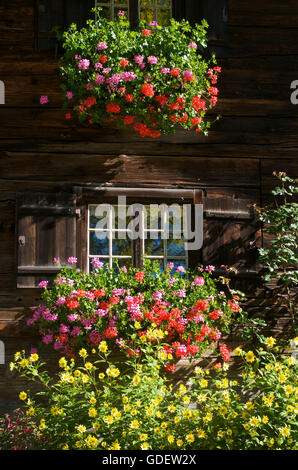 Traditionelles Bauernhaus in Gerstruben in der Nähe von Oberstdorf, Allgäu, Bayern, Deutschland Stockfoto