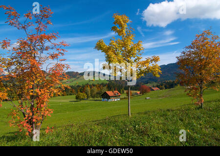 Bauernhaus in der Nähe von Oberstaufen, Allgäu, Bayern, Deutschland Stockfoto